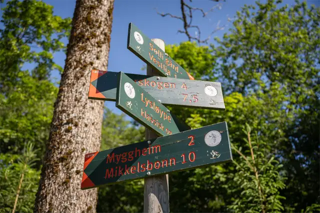 Dælilunden — illustrasjon 4