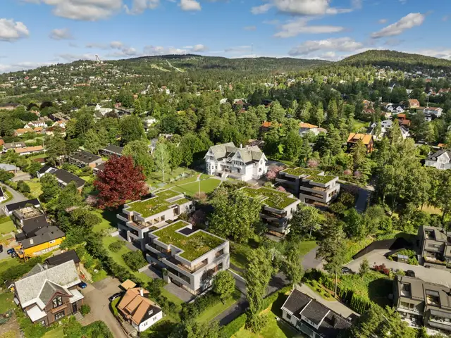 Eckbos Have — illustrasjon 3