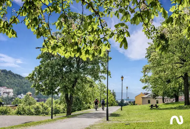 Nygårdslunden — illustrasjon 4